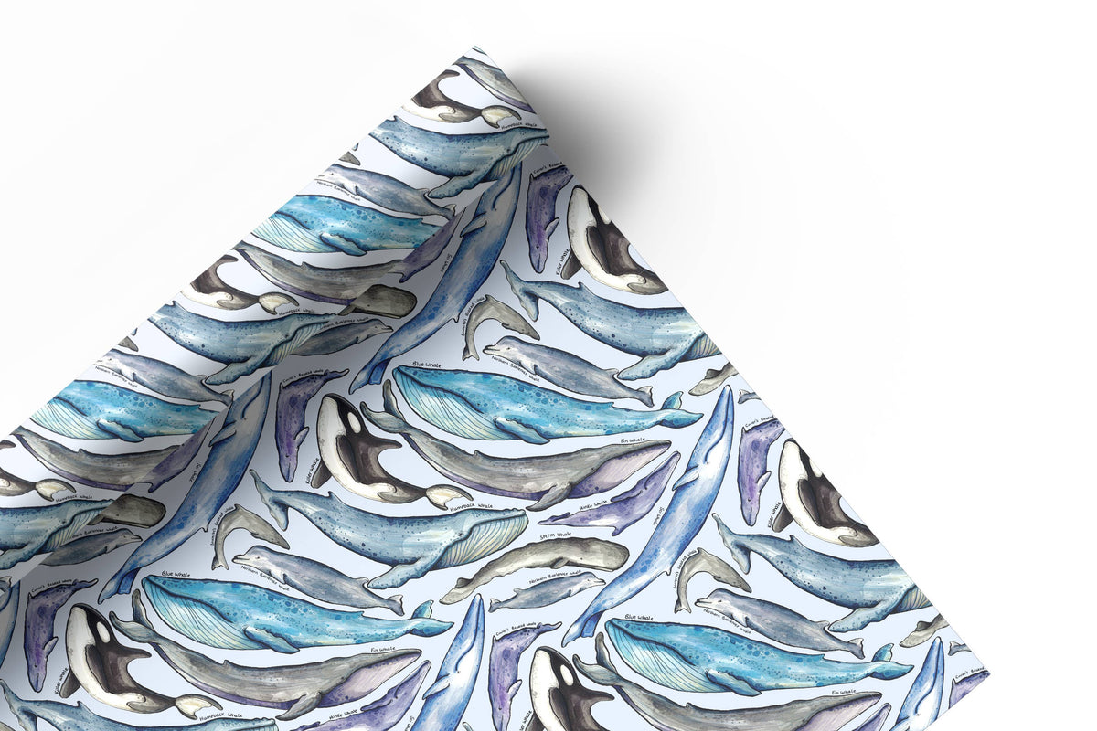 Whales of Britain wrapping paper Sheets